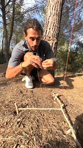 Comment faire un piège 🪤🤯 #wild #wildlife #survie #survival #tuto #france( Part 4) | Imsolal
