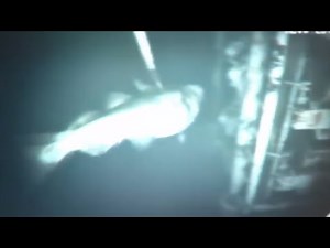 7 Scariest Sightings Of Mermaids Caught On Tape