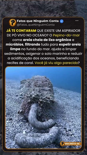 O “ASPIRADOR” VIVO DO OCEANO 😳💩 #Curiosidades #VidaMarinha
