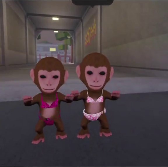 dancing monkeyy (@dancingbikinimonkeyy)’s videos with original sound - the dancing monkey