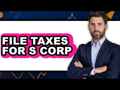 How to File Taxes for S Corp (Full Guide)