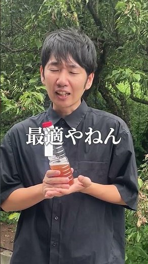 梅酢とお酢の違い、説明できますか？ #梅仕事 #梅酢 #梅干し