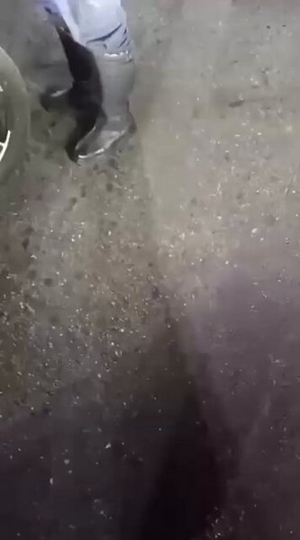 🚨𝐃𝐄𝐍𝐔𝐍𝐂𝐈𝐀!Así está la situación en Morón Carabobo. Piquetes de la policía CPNB (PNB) y GNB, esto fue anoche 25 Junio, y el día de hoy Viernes 26 a esta hora de la mañana, continúan con el mismo piquete, bloqueando la entrada a los ciudadanos que traen ayuda humanitaria desde otrasciudadanos del país.#URGENTE hay que a hacer una limpieza profunda en las instituciones policiales, es mejor la CALIDAD que la CANTIDAD.@delcyrodriguezv @dcabellor @realDonaldTrump @marcorubio @DeptofWar @SecWa