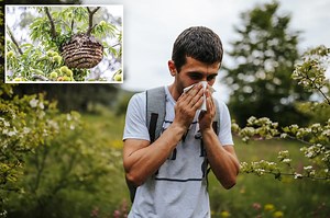 The 10 worst cities for pollen allergies