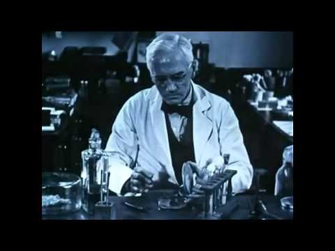 How Alexander Fleming Accidentally Discovered Penicillin