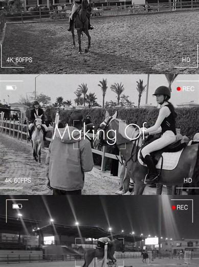 Explore the Beauty of Arabian Horses: Equestrian Insights