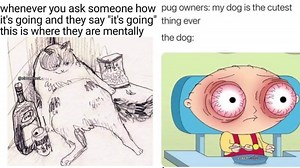 The Best Memes That Made It Past Our 'Meme Checkpoint' Facebook Challenge