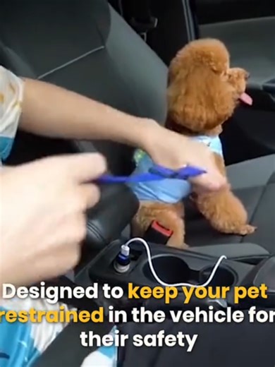 Cinto de segurança ajustável para cães e gatos LOJA PEDRA AZUL STORE VISITE NOSSA LOJA https://pedraazulstore.lojavirtualnuvem.com.br/