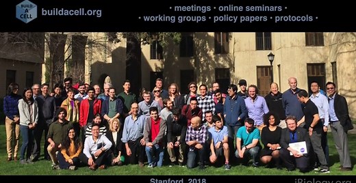 Synthetic Cells: Building Life to Understand It • iBiology