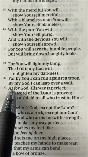 Psalms 18:30 Bible Verse Meaning and Reflection