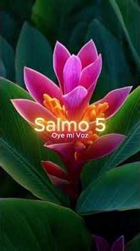 Salmo 5 #alabanza #alabanzas #alabanzaadoracion #alabanzascristianas #alabanzacristiana #worship