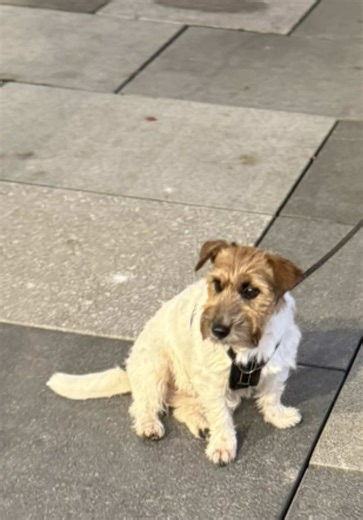 Fun Walking Challenge: 100k Steps with Friends