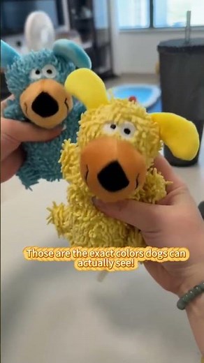Keep Your Dog Happy, Healthy, and Busy Every Day - Squeaky Dog Tooth Cleaning Plush Toy