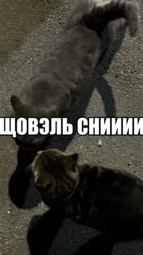 кончел на ее ресница