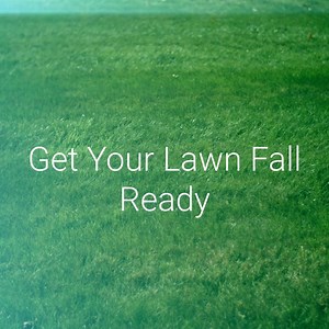 505K views · 52 reactions | Want a healthier looking lawn this fall? The secret is to power seed it... | Lawn Doctor | Facebook
