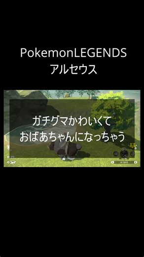 ガチグマのおばあちゃん｜ポケモンレジェンズアルセウス