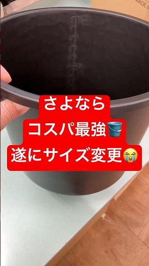 The 10L bucket, which was the best value for money as a container for medaka fish, has been chang...