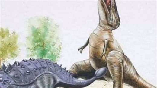 Ball cancer memes#125