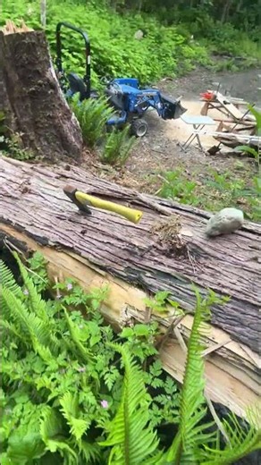 Milling Maple Wood