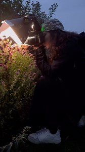 130K views · 34K reactions | With the right gear  Doing macro is...