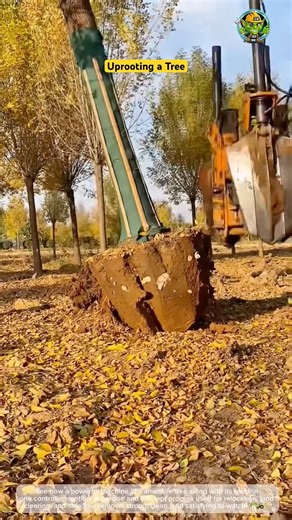 Machine Uprooting a Tree with Its Full Root System 🌳🔧
