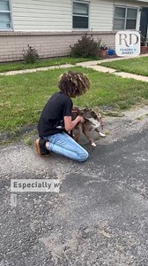 49K views · 111 reactions | I’m not crying - you’re crying #reunited #dogs #pets | Reader's Digest | Facebook