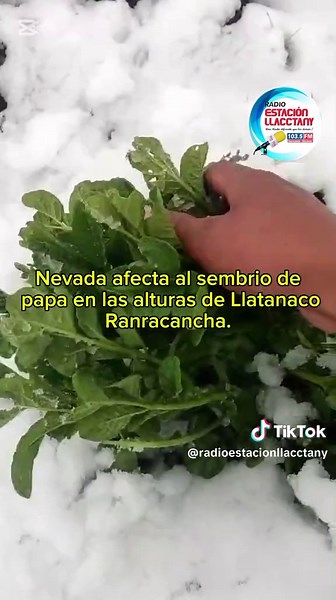 Nevada en Ranracancha: Observa la Granizada