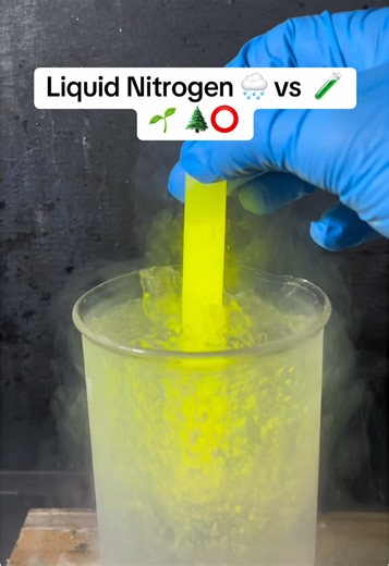 Liquid Nitrogen 🌧️ vs 🧪 🌱 🌲⭕️#Satisfying #Experiment #Science #LiquidNitrogen #NitrogenVS