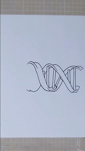 How to Draw DNA DOUBLE HELIX