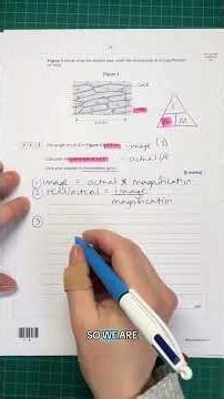 Magnification Calculations - AQA GCSE Biology/Combined Paper 1