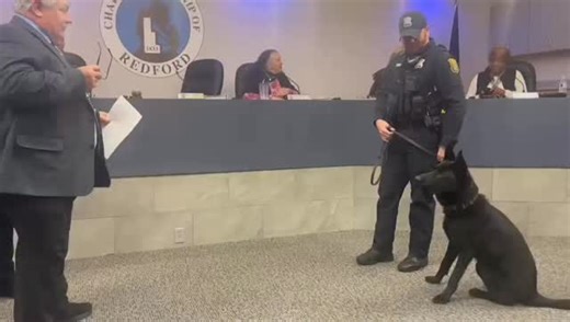 CrimeInTheD ® on Instagram: "#RedfordTownshipPD We would like to introduce K-9 Rex to the Redford Township Police Department! Supervisor McRae “swore in” K-9 Rex at tonight’s Township Board meeting. K-9 Rex is an 18 month old German Shepherd from the Czech Republic and his handler is Officer Mike Sharp. K-9 Rex is certified in tracking, narcotics detection, handler protection, and evidence searches through the National Association of Professional Canine Handlers. Detroit Diesel donated $13,000 t