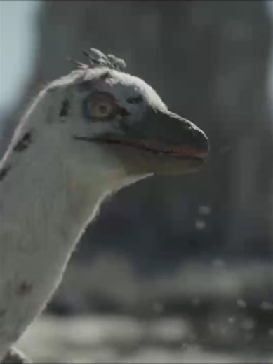 5 | They are so different from each other yet equally incredible #prehistoricplanet #paleontology #dinosaur #dino #fpyy