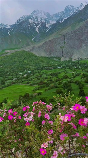 Chunda Valley Skardu: Peaceful Nature Spot Guide