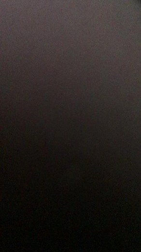 Papaer dragons are the beast🥰 (@papaer_dragon123)’s videos with original sound - 00.13.h