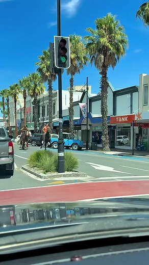Discover Unique Experiences in Gisborne, NZ