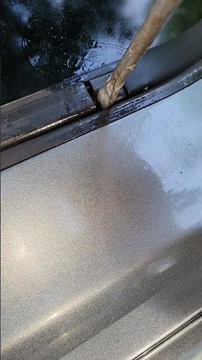 2016 xc90 sunroof leak fixed