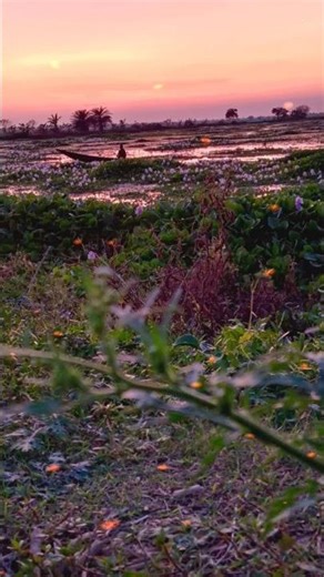 yeh vaada raha #tu mil jaye istara#songs #hindisong #shortvideo #subscribers #shortsviral #share