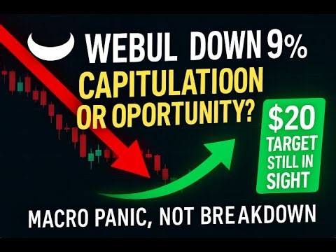 Webull Crashes 9% — Capitulation or Opportunity? $20 Target Still in Sight