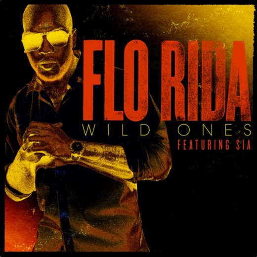 Flo Rida Featuring Sia - Wild Ones
