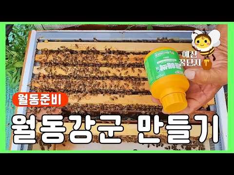 Preparing Strong Bee Colonies for Winter 2026