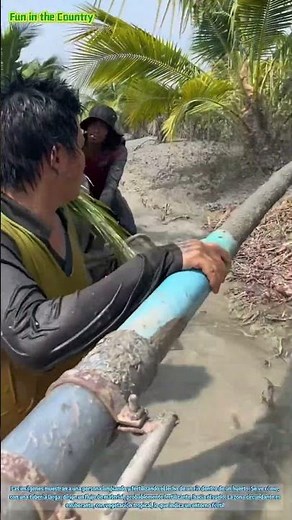 Limpieza y fertilización del lecho del río en Tropical Orchard: una práctica vital