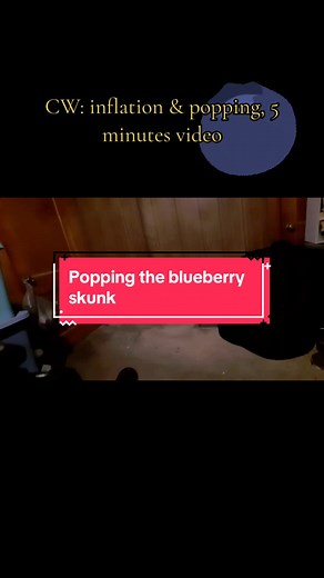 The full blueberry inflation video of the alien skunk with the pop at the end. #furry #furryfandom #furrytiktok #kbryme #pink #alienskunk #fursona #jupiter #blueberry #inflation #inflatable #skunk #balloon #popping #inflationfurry #skit #acting #furrytiktoker #fursuit #fursuiter #willywonka #chocolatefactory #charlieandthechocolatefactory