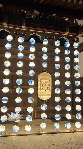 夜間特別ライトアップ【青蓮院門跡】#ライトアップ#綺麗#夏#幻想的#静けさ#風景#光#京都#京都観光#そうだ京都行こう