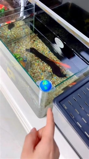 मिन्कि का कैंडी पानी मे गिर गया || Carriage House Wooden Artist || #cartoon #shortvideo