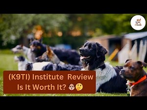 🐶📢 K9 Training Institute (K9TI) Review – Does It Really Work? | #doglife #dogs