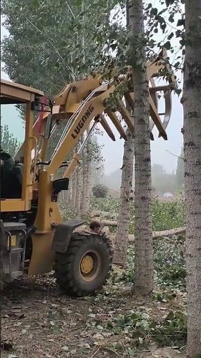 Precision Felling The Tree Falls at the Pre-Set Spot