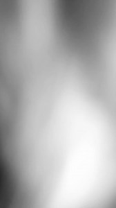 9.1K views · 127 reactions | Put your paws up lol ✋✍️ 9x12 inch graphite pencil drawing ✏ #art #drawing #graphite #graphitedrawing #artwork #paw #dog #doglover #doglife #petlovers | Lianne Elliot's Fine Art | Facebook