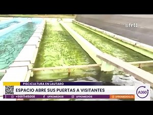 Piscicultura de Lautaro abre sus puertas a visitantes | ARAUCANÍA 360°