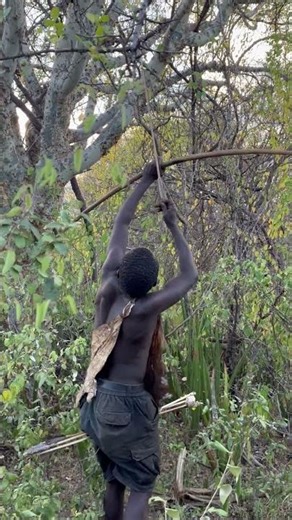 Face to Face With a Leopard | Hadzabe Hunters Led by Mr. Chaba Deep in Tanzania’s Wild Forest