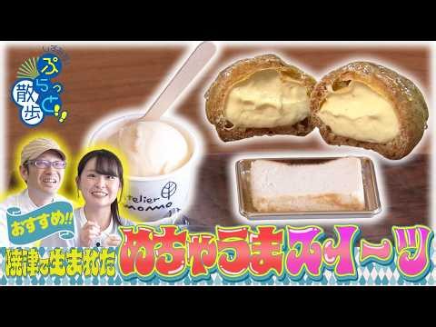 Must-Try! Super Delicious Sweets Born in Yaizu | Atelier MOMO [Strolling Around Summer 2026 Editi...